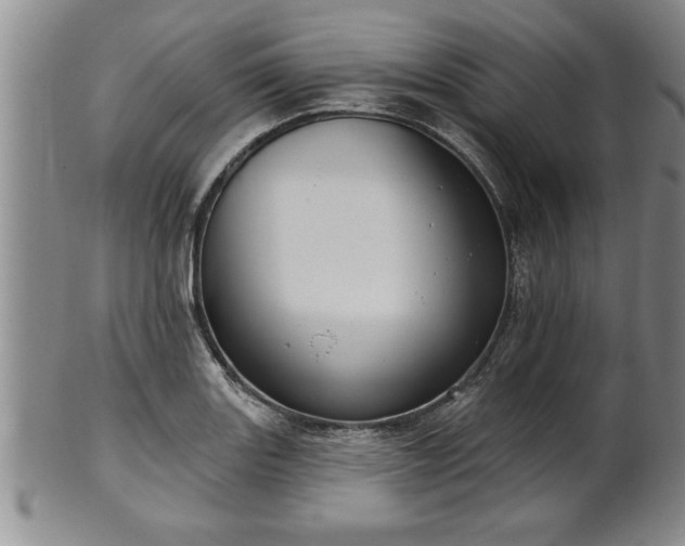 X0000102361131200808081124