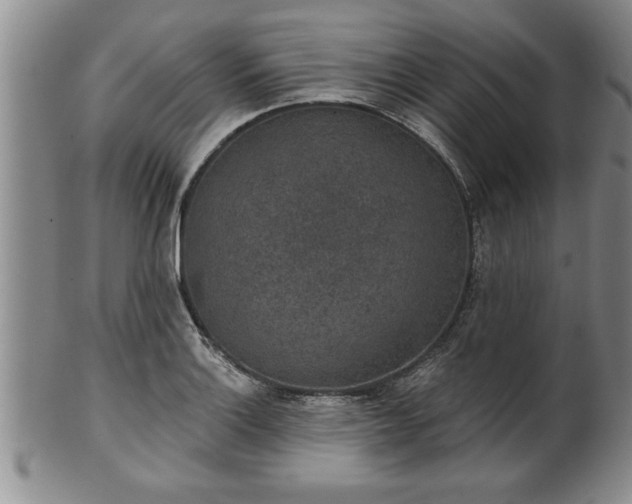 X0000102361132200808081124