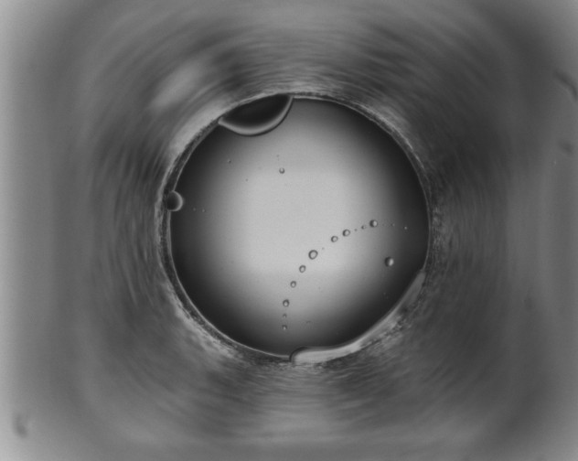 X0000102361135200808081124