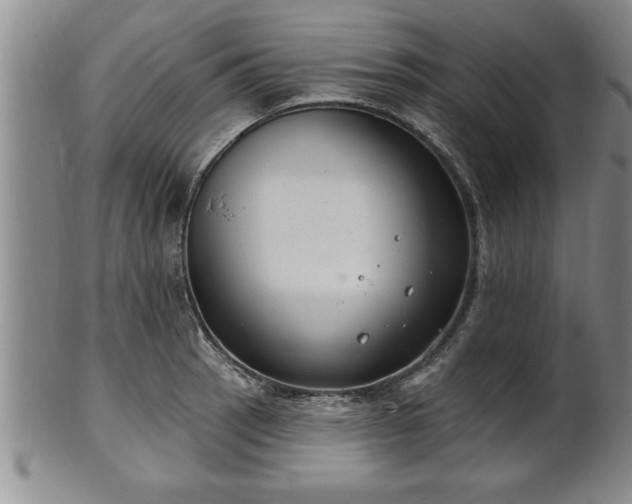 X0000102361137200808081124