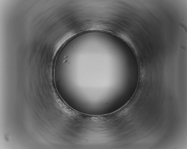 X0000102361138200808081125