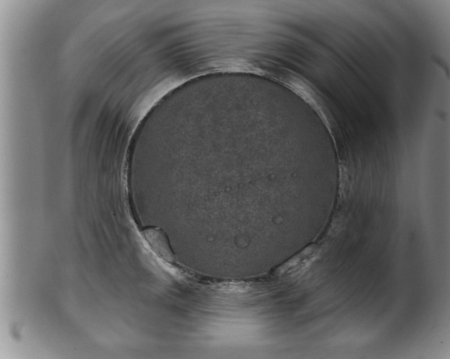 X0000102361141200808081125