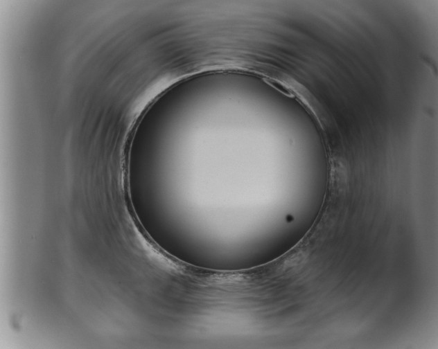 X0000102361143200808081125