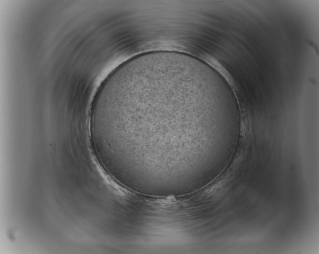 X0000102361144200808081125