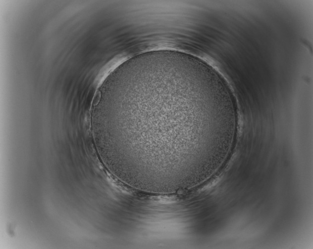 X0000102361145200808081125