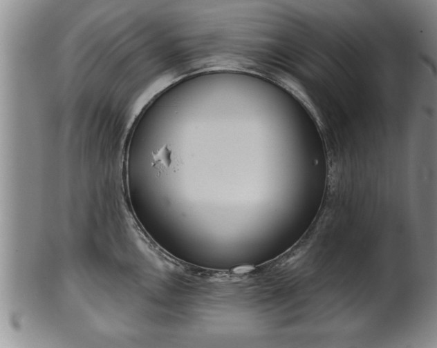 X0000102361146200808081125
