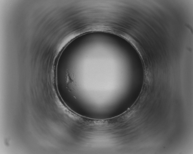 X0000102361147200808081125