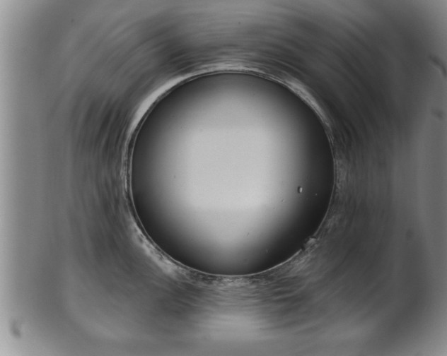 X0000102361148200808081125