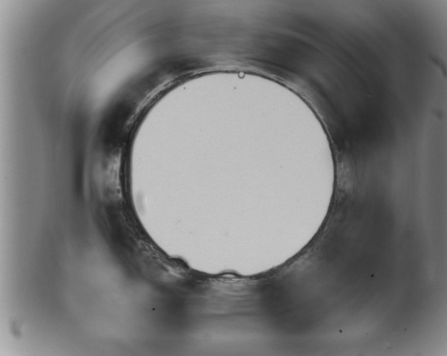 X0000102361150200808081125
