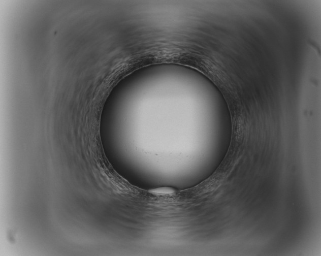 X0000102361153200808081124