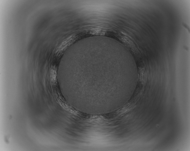 X0000102361154200808081124