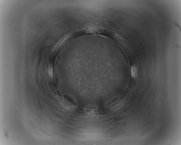 X0000102361155200808081124