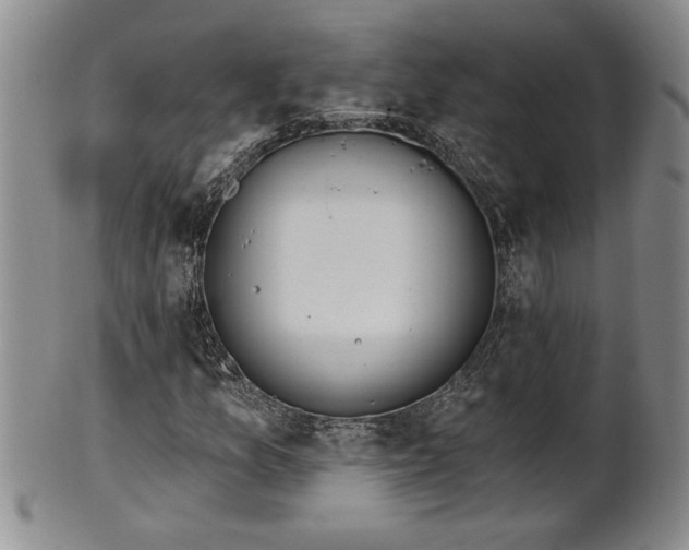X0000102361157200808081124