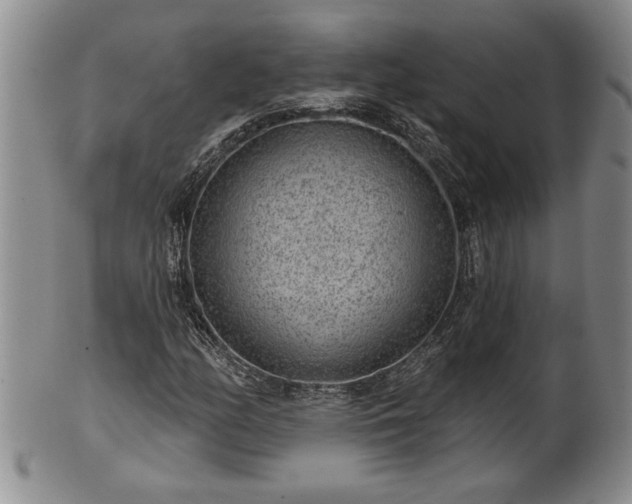 X0000102361158200808081124