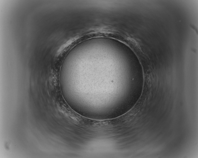 X0000102361159200808081124