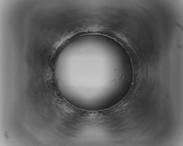 X0000102361160200808081124