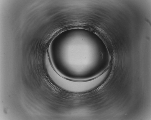 X0000102361161200808081124