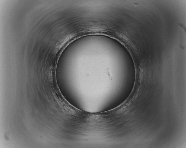 X0000102361162200808081124