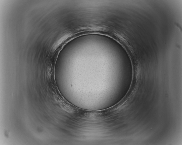 X0000102361163200808081124