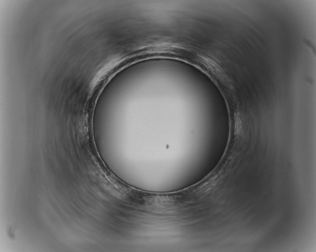 X0000102361164200808081124