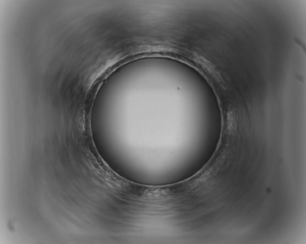 X0000102361165200808081124