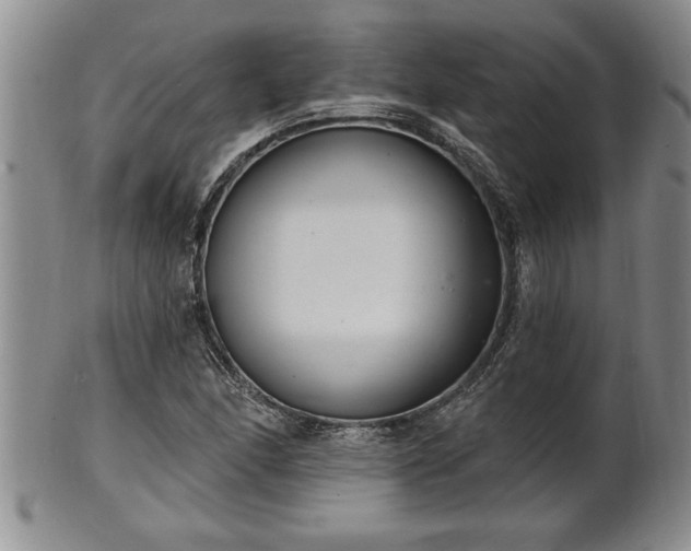 X0000102361166200808081124