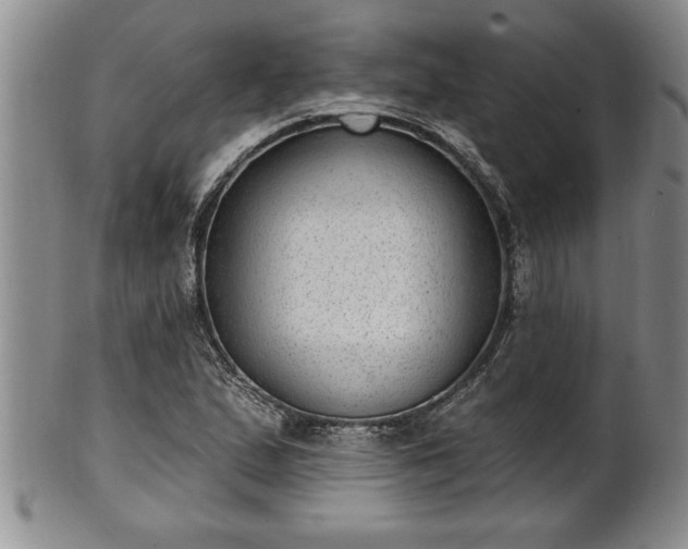 X0000102361167200808081124
