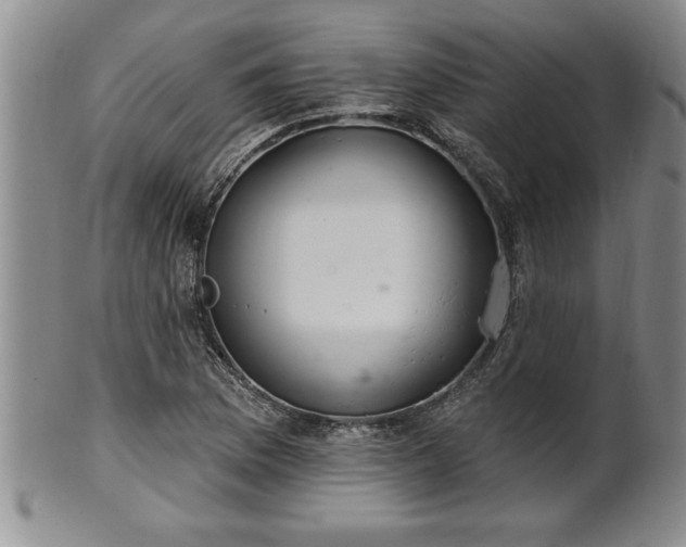 X0000102361169200808081124