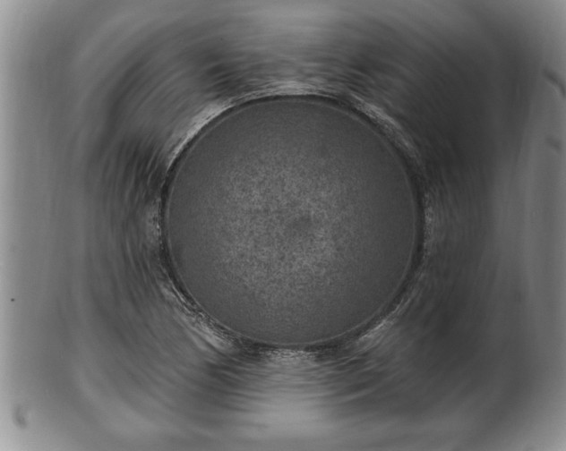 X0000102361170200808081124