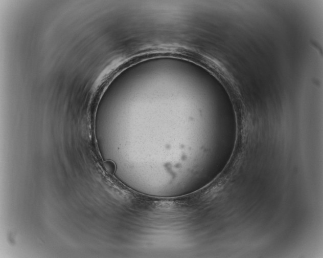 X0000102361172200808081124