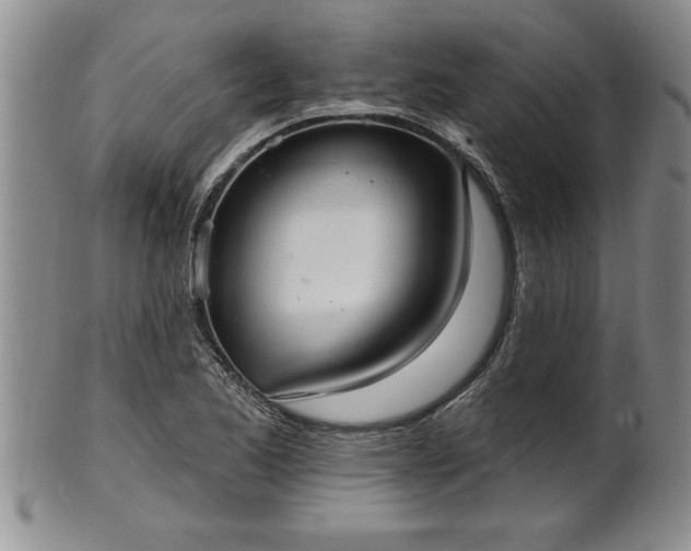 X0000102361173200808081124