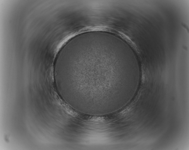 X0000102361174200808081124