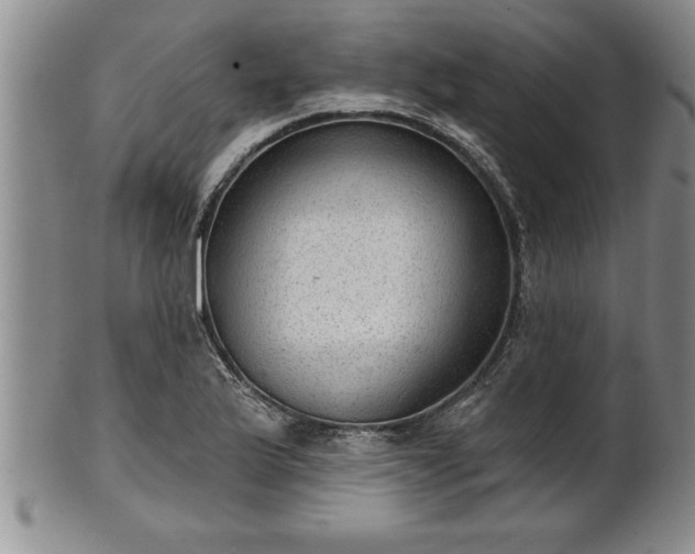X0000102361175200808081124
