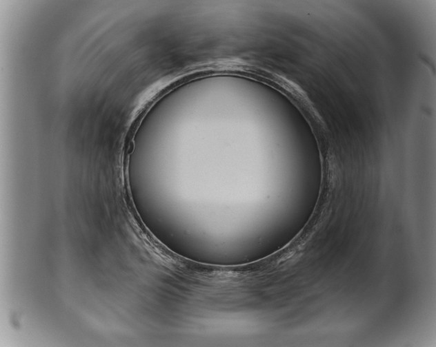 X0000102361176200808081124