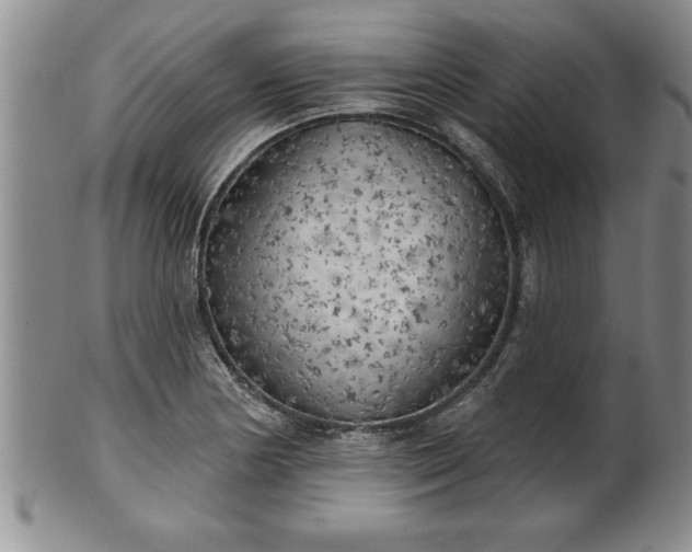 X0000102361178200808081124