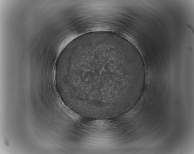 X0000102361179200808081124