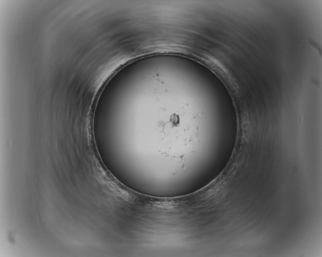 X0000102361182200808081123