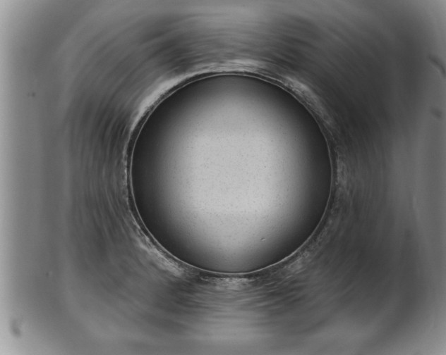 X0000102361184200808081123