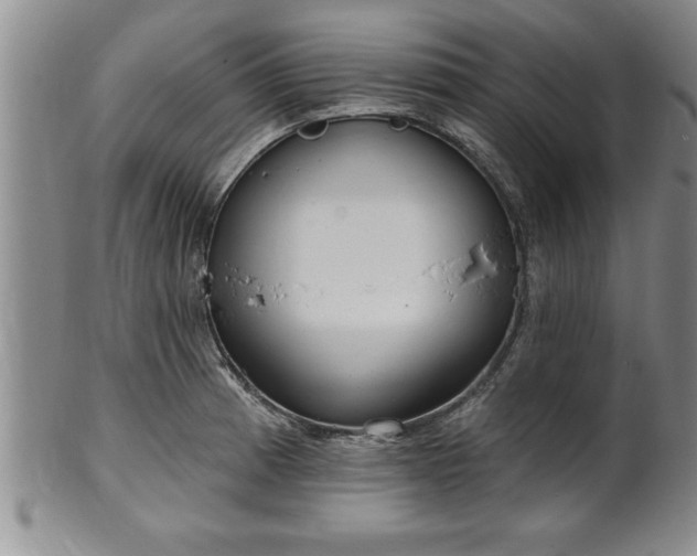 X0000102361185200808081123