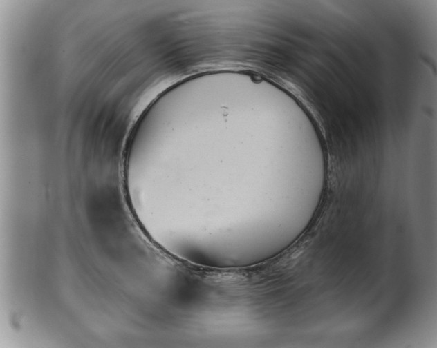 X0000102361187200808081123