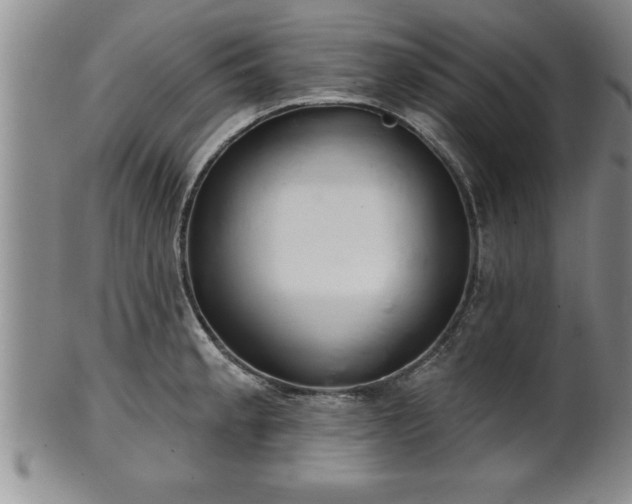 X0000102361189200808081123