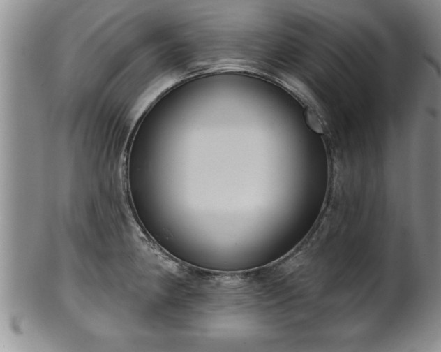 X0000102361190200808081123