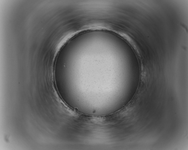 X0000102361191200808081123