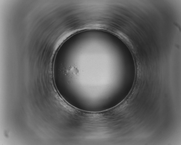 X0000102361192200808081123