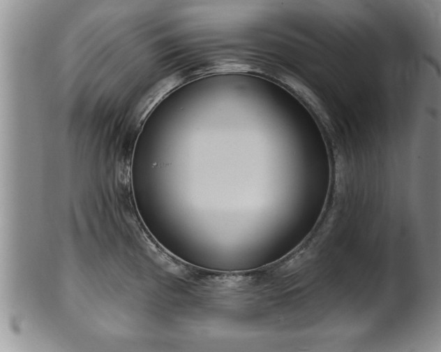 X0000102361193200808081123