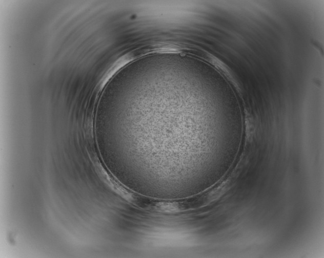X0000102361194200808081123