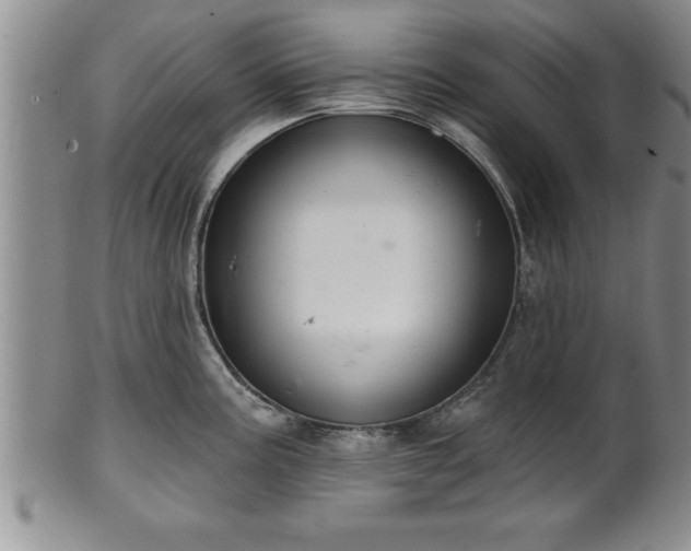 X0000102361195200808081123