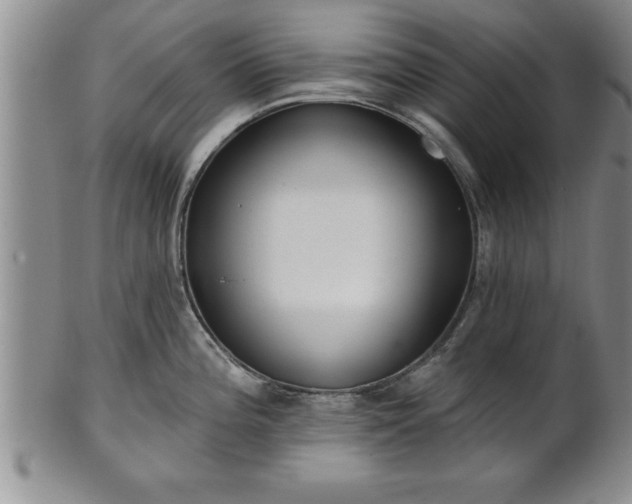 X0000102361196200808081123