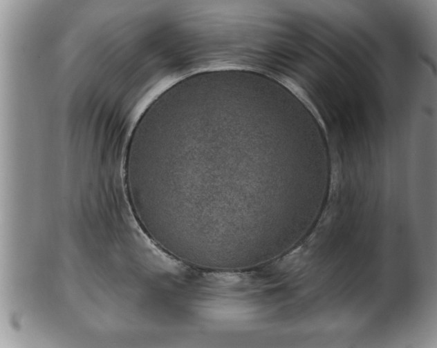 X0000102361197200808081123