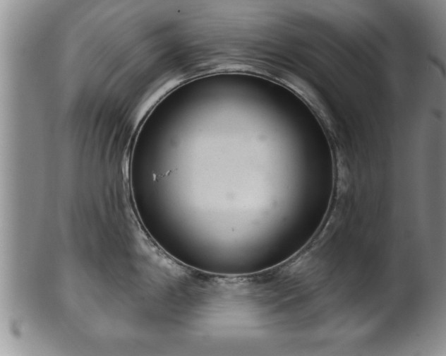 X0000102361198200808081123